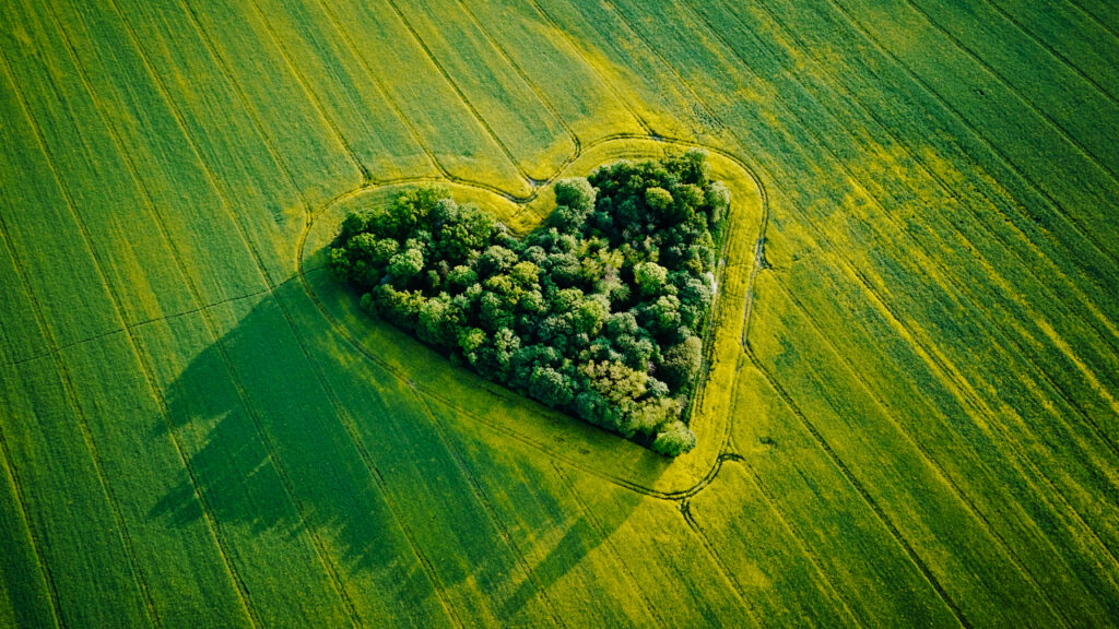 Cultiver l'amour et la confiance en soi avec la sophro-énergie et Lionel Lainé